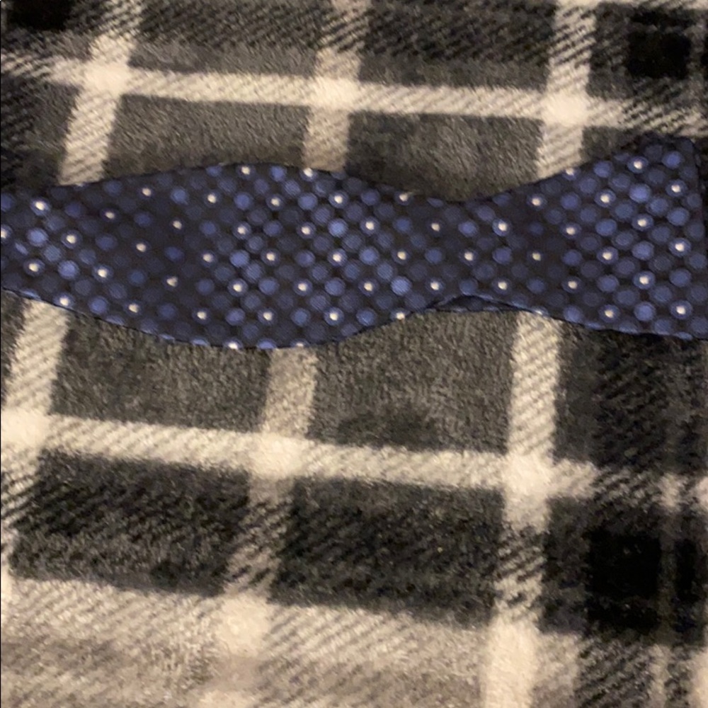 Blue bow tie